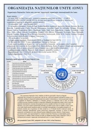 Organizatia Natiunilor Unite - dim. 700x1000mm