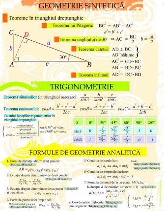 Geometrie sintetica, analitica, trigonometrie - dim. 70x100 cm