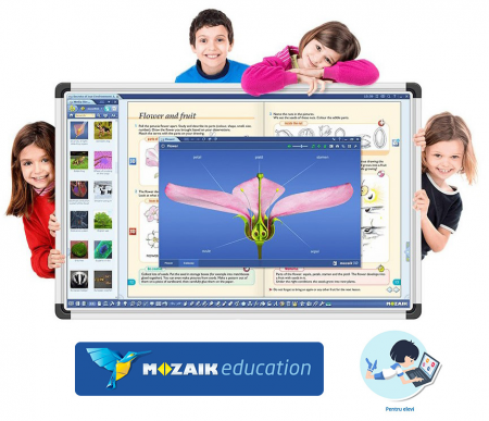 Software Mozaik Student , lectii interactive in timp real, licenta 1 / 1 an