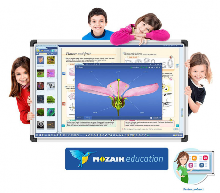 Software Mozaik Teacher , lectii interactive in timp real, licenta 1 / 2 ani