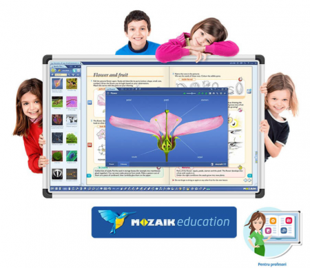 Software Mozaik Teacher , lectii interactive in timp real, licenta 1 / 3 ani