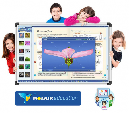 Software Mozabook CLASSROOM , lectii interactive in timp real, licenta 1 / 2 ani