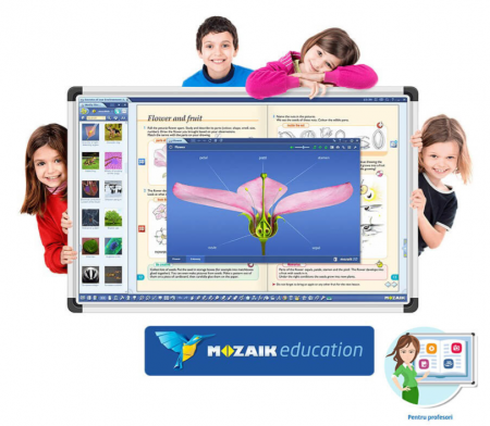 Software Mozaik Teacher , lectii interactive in timp real, licenta 1 / 4 ani