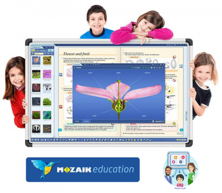 Software Mozabook CLASSROOM , lectii interactive in timp real, licenta 1 / 3 ani