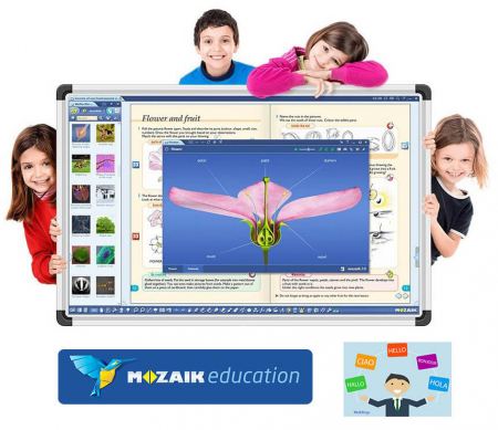 Software Mozabook MULTILANG , lectii interactive in timp real, licenta 1 / 2 ani