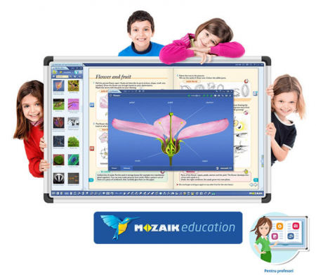 Software Mozaik Teacher MULTILANG , lectii interactive in timp real, licenta 1 / 4 ani