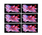 LED Tiles interior LG LSBC026 Ultra Light Series 2m x 1,5m, 768px x 576px
