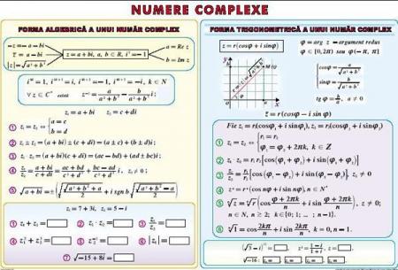 Elemente de logică matematică. Numere complexe (duo)