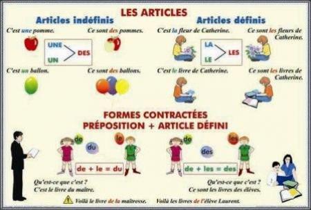 Les articles. Formes contractees. Preposition - Article defini / Adjectifs et pronoms demonstratifs (duo)