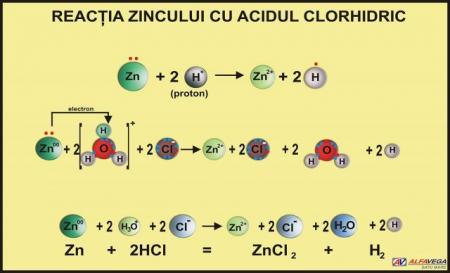 Reacţia zincului cu acidul clorhidric - dim. 1100X800 mm
