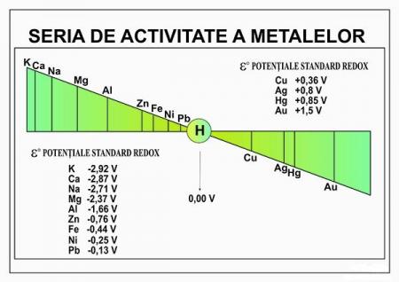 Seria de activitate a metalelor- dim. 1100X800 mm