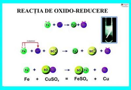 Reacţia de oxido-reducere- dim. 1100X800 mm