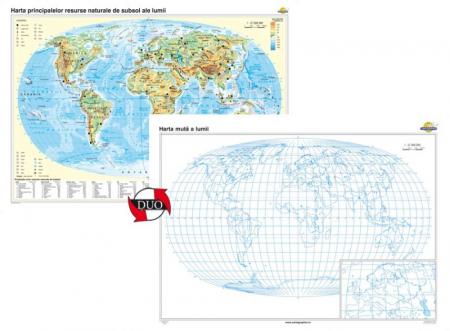 Harta principalelor resurse naturale de subsol ale lumii + Harta muta - DUO- 1400x1000 mm