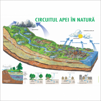 Circuitul apei in natura 2 - dim. 1000x700 mm