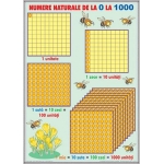 Numere naturale de la 0-1000 / Operaţii cu numere naturale