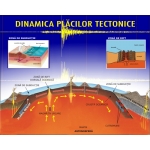 Plansa Dinamica placilor tectonice - dim. 70x100 cm