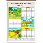 Calendarul naturii. Vara/Calendarul naturii. Iarna (DUO)
