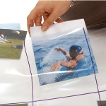 Covoras Grilat, Transparent pentru Albinuta