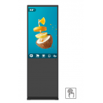 Totem Indoor interactiv TP- 430H EVOBOARD, 43