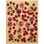 Model Compoziția sângelui (basorelief)