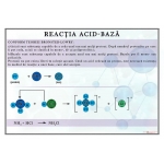 Reacţia acid-bază- dim. 700X1000 mm