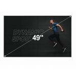 Display profesinal LG 49