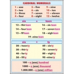 Adjective / Cardinal numerals (duo)