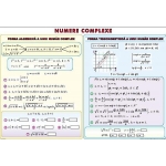 Elemente de logică matematică. Numere complexe (duo)