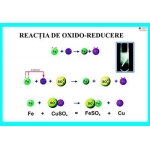 Reacţia de oxido-reducere- dim. 1100X800 mm