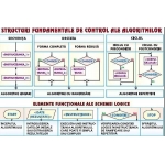 Structuri fundamentale de control ale algoritmilor. Sisteme de numeraţie