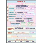 Verbul (1) /Vocabularul (Lexicul) (duo)