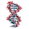 Model molecular 3D – ADN - Molymod®, 10 straturi