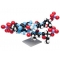 Model molecular 3D – ADN, Molymod®, 2 straturi