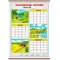 Calendarul naturii. Vara/Calendarul naturii. Iarna (DUO)