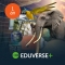Licenta Eduverse+  |  Abonament 1 an |  Pachet Software pentru ClassVR