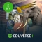 Licenta Eduverse+  |  Abonament 5 ani |  Pachet Software pentru ClassVR