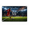 Display 55