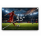 Pachet format din 2 x Display 55