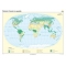 Pământul: Zone de vegetaţie - 1600x1200 mm